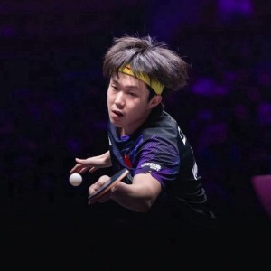 新球体育下载-央视名嘴：王楚钦越来越强 樊振东还是国乒队员 跟王楚钦不分上下